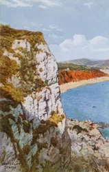 Weiße Klippe, Seaton