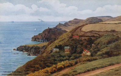 Woody Bay, von Martinhoe Common