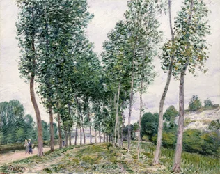 Pappelallee entlang des Loing, 1892