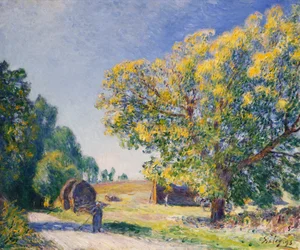 Rund um den Wald, eine Lichtung; Autour de la Forêt, une Clairière