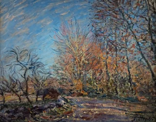 Am Waldrand in Fontainebleau