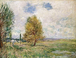 La Plaine de Veneux-Nadon, 1881
