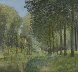 Rast am Bach. Waldrand, um 1878