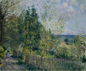 Der Weg im Wald