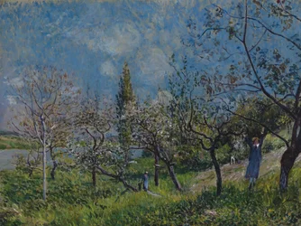Ein Obstgarten im Frühling