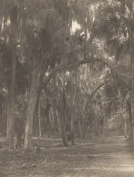 In Rockledge, Florida