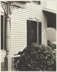 Haus und Weinblätter