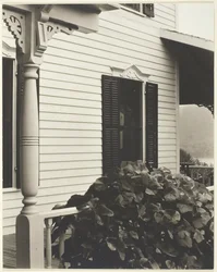 Haus und Weinblätter, 1934