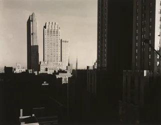 New York vom Shelton