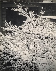 Aus dem Fenster - 291 - N.Y.