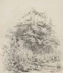 Indianischer Begräbnisplatz, Oregon, 1841