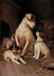 Das kleine Mädchen und ihre Hunde