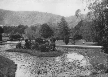 Hakgalla-Gärten vom Lotus-Teich, Nuwara Eliya, um 1890, 1910