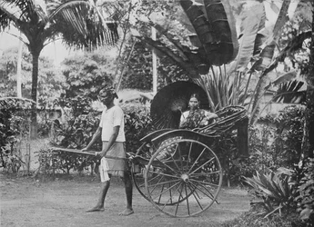 Tamilische Dame in einer Rikscha, um 1890, 1910