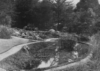 Der Steingarten, Hakgalla-Gärten, Nuwara Eliya, um 1890, 1910