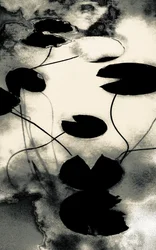 Goldstaubschatten, aus der Serie Frühling