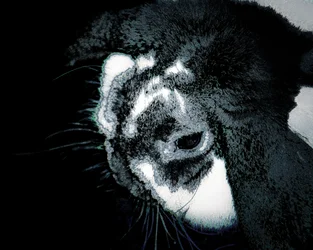 Jessicas Freund, 2022