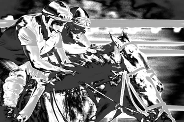 Saratogoa Trials, 2015