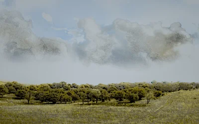 Sizilianischer Nachmittag