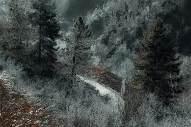 Die Straße von Mailand, 2018