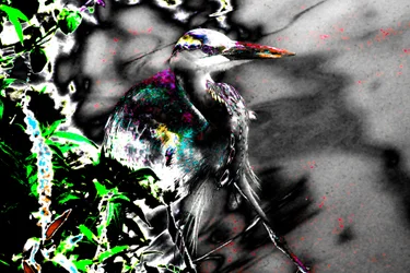 Nach den Blinden, 2013