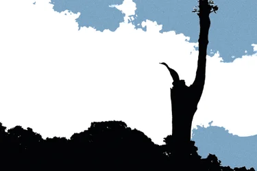 Eintreten in Periyar