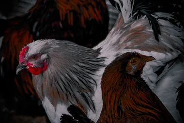 Dieser Weg, Jener Weg