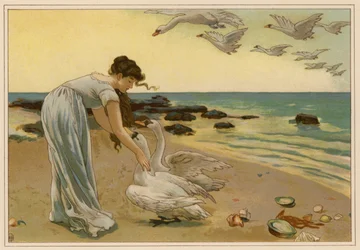 Die weißen Schwäne