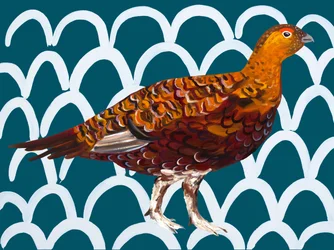 Petrolfarbenes Moorschneehuhn-Muster