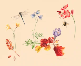 Herbstblumen und Insekten
