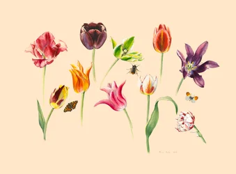 Frühlingstulpen und Insekten