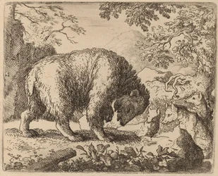 Der Bär abgelenkt durch Gespräche über Honig, wahrscheinlich ca. 1645-1656