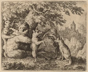 Der Bär und der Wolf werden verfolgt