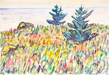 Aquarell Nr. 35, Feld mit zwei Kiefern