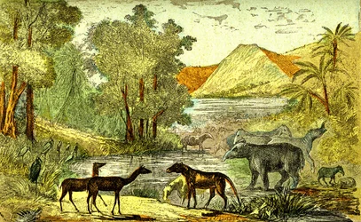 Urgeschichte - Eozän-Periode: Von rechts nach links: Paloeotherium, Anoplotherium, Xiphodonten und die Vögel Tantalus. Natürliche Schöpfung und Lebewesen. Zeichnung von A. Demarle. 1885