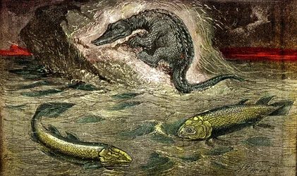 Übergang von Fischen zu Reptilien: Proteosaurier (oben) Reptil aus Fisch, Kohlezeit. Der Holoptychius unten links und der Osteolepis rechts. 1885. Natürliche Schöpfung & Lebewesen. Zeichnung von A. Demarle
