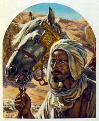 Illustration von Dinet aus 