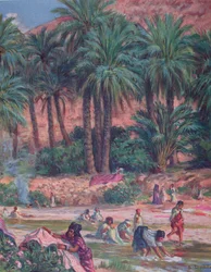 Palmbäume. Die Palme wurde vom Propheten Mohammed im Koran gesegnet. 1918.