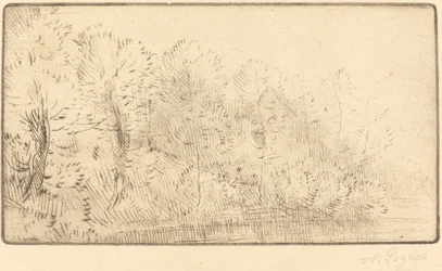 Entlang des Flusses Sur la rivière