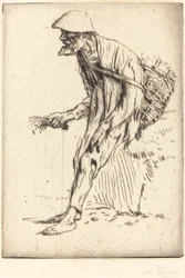 Vogelmiere-Händler Marchand de mouron