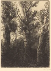 Deutscher Wald, Downley