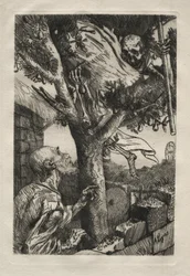Der Tod im Birnbaum