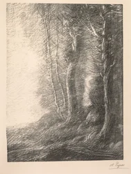 Landschaft