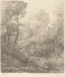 Landschaft: Morgennebel Paysage: Brumes du matin