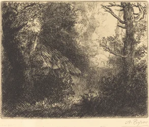 Landschaft: In der Nähe von Chailleux