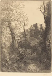 Landschaft