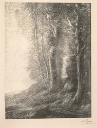 Landschaft Paysage