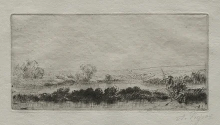 Landschaft mit Torfmoor: Im Sumpf