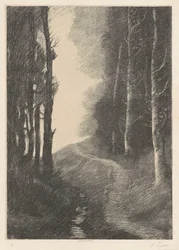 Landschaft mit Birken