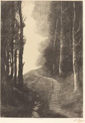 Landschaft mit Birken